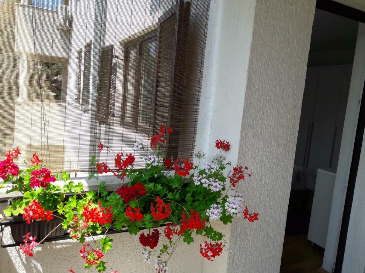 Apartments Ruzica Pula Exterior photo
